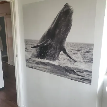 Terrassenwohnung - Zentral, Modern, Schnelles Internet, Anliegerparken